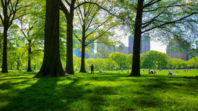 img_kone_care_dx_landingpage_block7_image1_emissions